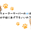 ウォーターサーバーの水は犬や猫に挙げてもいいの？